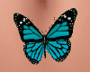 Aqua Belly Butterfly