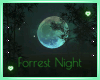 Forrest Night