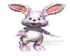 *IM:. Bunny