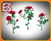 ! RED ROSES TO MY LOVE
