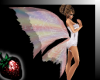 !! Fairy Wings Pastels
