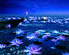 Midnight at the Ocean