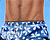 Blue Swim Shorts Tat