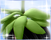 Strawberry Stem