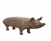 Animated Pig