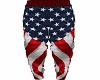 STEM USA Flag Pants