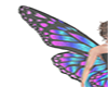 WING BUTTERFLY ONE