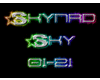 Skynrd Remix