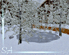 SA Frozen Pond and Tree