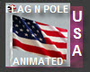 ANIM USA FLAG N POLE