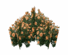 Bush Orange Flower V2