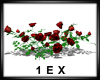 1EX Rose Bushes