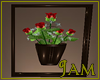 J!:Bina Framed Flowers