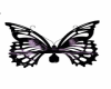 Butterfly Bench/Blk/purp