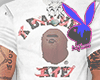 aape