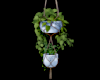 Hanging Planters