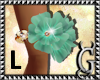 G.❀ATTRACTIVE/ Brac.L