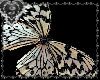 *J* Sparkle Butterfly
