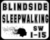 Blindside-sw