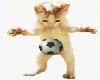 Soccer Ball Kitty