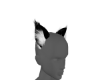 RSE Cat Ears