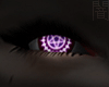 Phantom ciel.