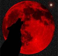 sticker_139322936_4