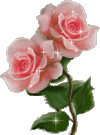 sticker_96219756_31