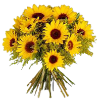 sticker_48509903_129