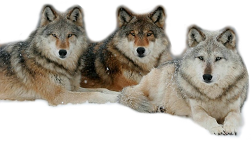 sticker_182260686_12