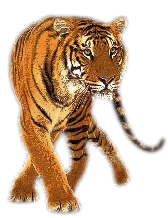 sticker_123885409_79