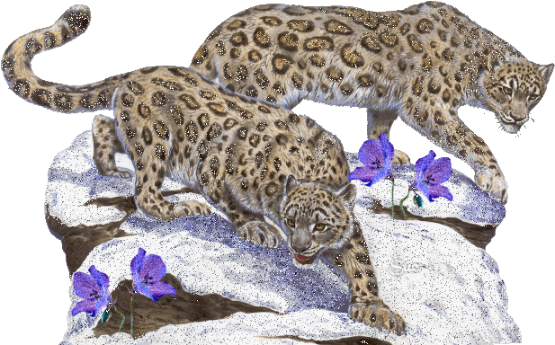 sticker_289439634_4