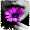 adesivo_228160483_35