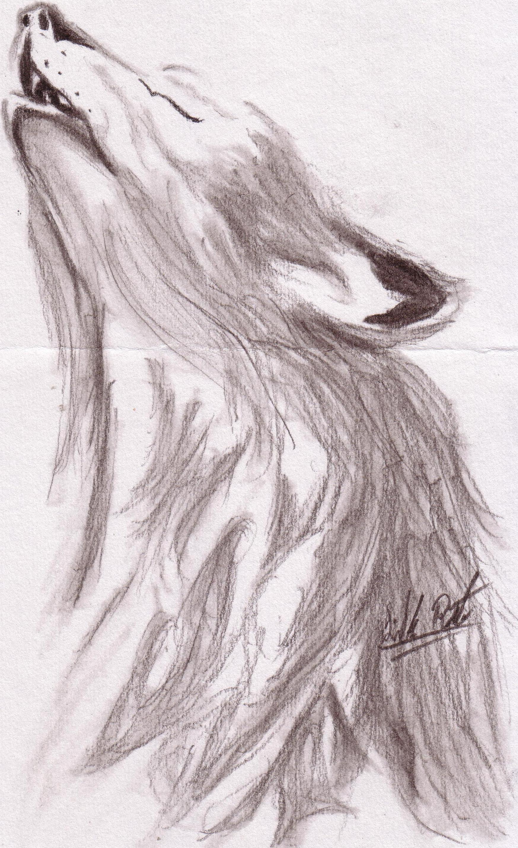 Etiqueta_342862905_1