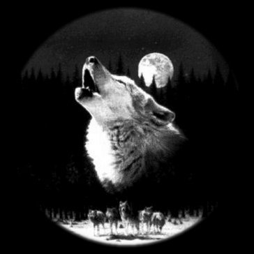 sticker_107672332_171