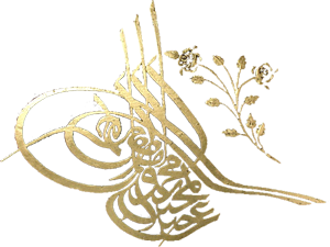 sticker_174758_42255988