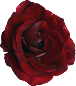 sticker_375671876_40