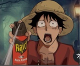 immagine avatar