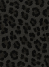 Guest_PassionAss