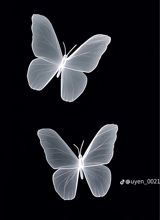AimeMdz