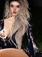 Guest_Diane393363