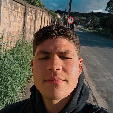 Paulowinchester