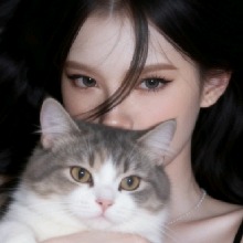 Guest_JeonWelimaArajo
