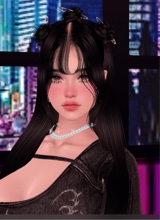 Guest_Jeny4011