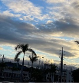 Guest_Artemis311