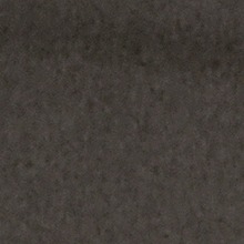Guest_DioneMartins