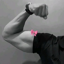 Guest_MaiconLima