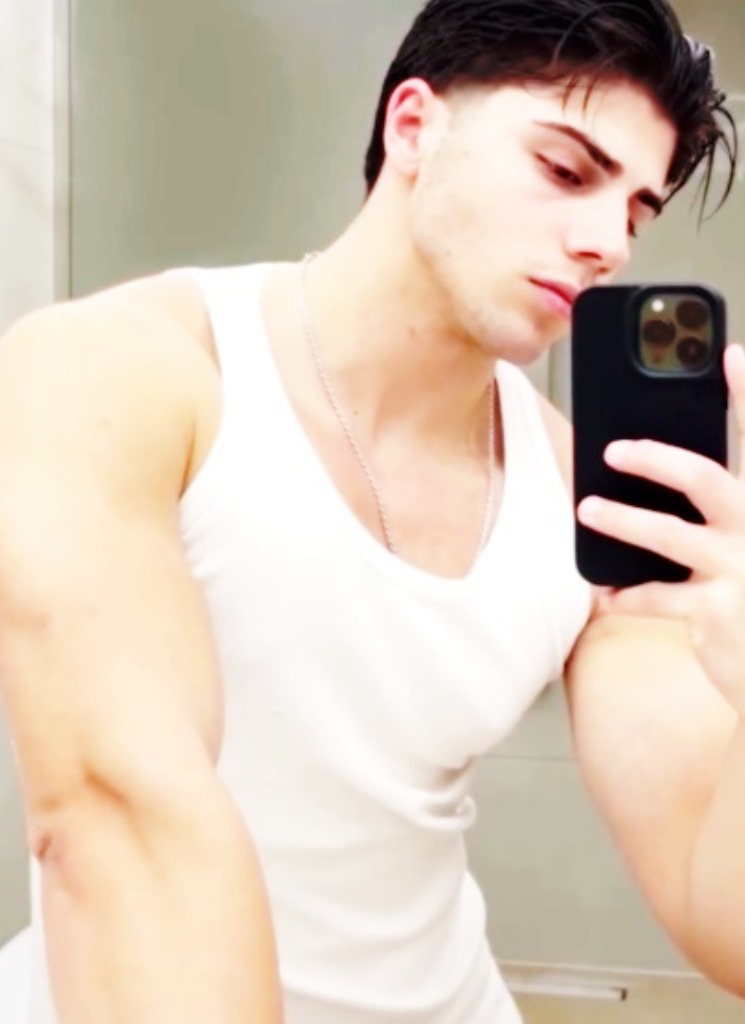 avpic