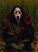 Guest_meangurlskyyy
