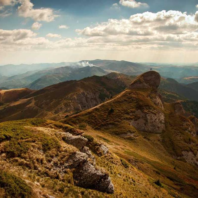 Guest_GabrielNonato